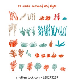 Seaweed and algae. Various seagrass and corals. Underwater and aquarium plant silhouettes. Design elements for seabed scene. Vector illustration isolated in white.