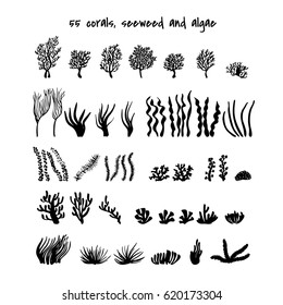 Seaweed and algae. Various seagrass and corals. Underwater and aquarium plant silhouettes. Black and white design elements for seabed scene. Vector illustration isolated in white.