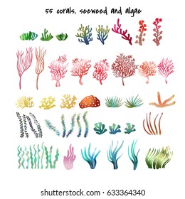 Seaweed and algae. Various seagrass and corals. Underwater and aquarium plant silhouettes. Design elements for seabed scene. Vector illustration isolated in white.