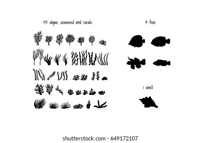 Seaweed and algae. Various seagrass and corals.  Fish and shell. Underwater and aquarium plant silhouettes. Black and white design elements for seabed scene. Vector illustration isolated in white.