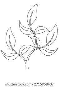 Algas, arbusto de aquário - ilustração linear vetorial para coloração. Contorno. Algas, arbustos subaquáticos