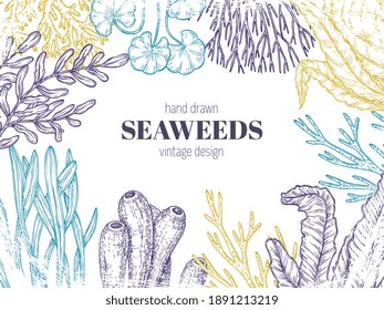 Seaweed background. Natural coral, seaweeds art sketching. Abstract graphic sea flora, ocean reefs plants algae branches exact vector concept