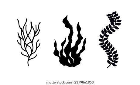 seaweed, black isolated silhouettes set