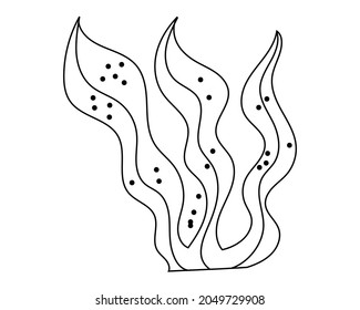 seaweed with a black outline. The vector illustration is hand-drawn. Algae icon for coloring, tattoo sketch, sticker