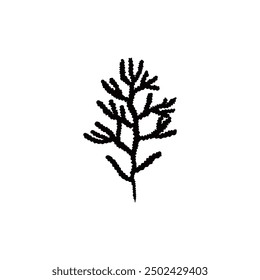 Seaweed. Black silhouette. Phyllophora. Small, flat-shaped algae. Branched structure. Underwater marine plants. Ocean ecosystem. Vector illustration isolated on white background.