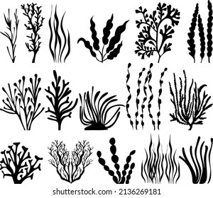 seaweed black silhouette set, isolated vector