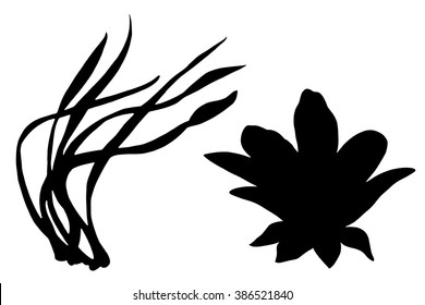 Seaweed black silhouettes, grass, leaves set isolated on white background