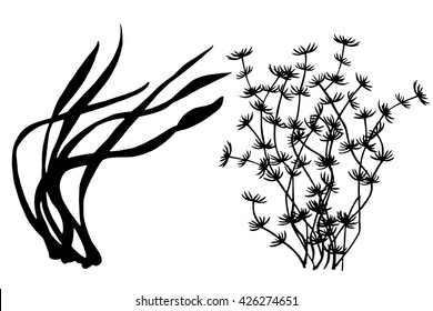 Seaweed black silhouettes, grass, leaves set isolated on white background