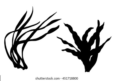 Seaweed black silhouettes, grass, leaves set isolated on white background