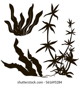 Seaweed black silhouettes, grass, leaves set isolated on white background - stock vector	
