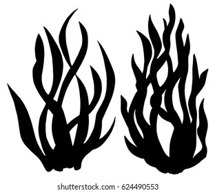 Kelp Silhouette Stock Images, Royalty-Free Images & Vectors | Shutterstock