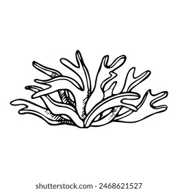 Ilustración vectorial de línea blanca y negra de algas. Planta submarina monocromática para diseño marino, cosmética natural e impresión náutica