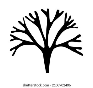 Seaweed branch silhouette outline for logo