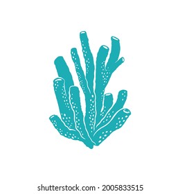 Seaweed with bubble tubes isolated soft coral icon. Vector mushroom leather coral grown at sea bottom, aquarium decoration. Blue coral, aquatic underwater organism, tropical marine seabed plant