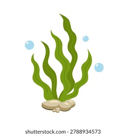 Seaweed. Cartoon flat seaweed icon. Vector illustration