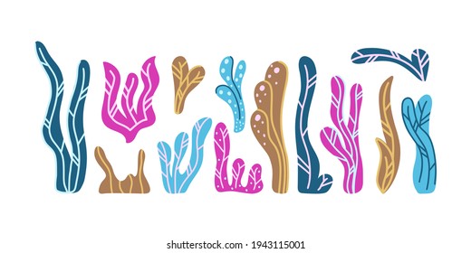 Seaweed, cartoon icons set. Children's hand drawn illustration of different water plant for kids design. Stylized doodle alga. Color flat isolated vector elements on white background