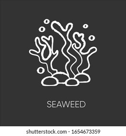 Seaweed chalk white icon on black background. Natural component. Skincare treatment product. Antiaging effect. Ecology and biology. Marine grass extract. Isolated vector chalkboard illustration