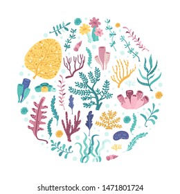 Seaweed Circle. Vector illustration for your design