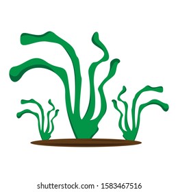 Seaweed clip art design vector illustration image
