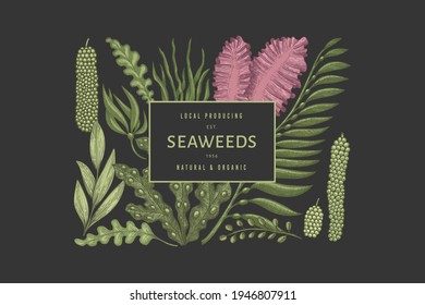 Seaweed color design template. Hand drawn vector seaweeds illustrations on dark background. Engraved style sea food banner. Retro sea plants background