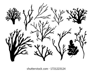 Algas marinas, corales y algas. Diferentes siluetas de fauna submarina. Ilustración vectorial dibujada a mano negra.