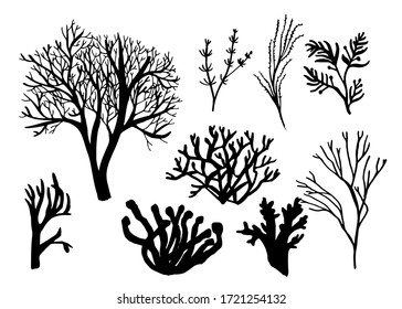 Seaweed, coral and algae set. Different silhouettes of underwater fauna. Black hand drawn vector illustration.