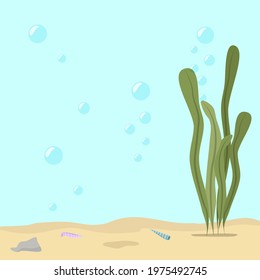 Seaweed with coral and bubbles. Air bubbles rise up in the water. Sea floor landscape