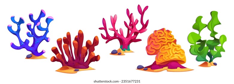 Seaweed and coral, color underwater plant cartoon vector isolated illustrations. Ocean reef life, aquarium algae on white background