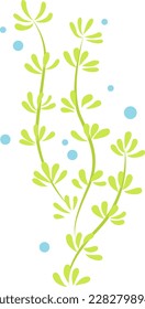 Seaweed, coral and sea grass flat design vector for decoration on Aquatic palnt.