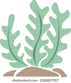 Seaweed, coral and sea grass flat design vector for decoration on Aquatic palnt.