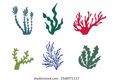 Seaweed and coral set. Colorful under the sea plants. Ocean flora, botanical. Vector simple hand-drawn design