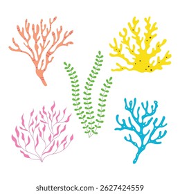 algas marinhas e conjunto de corais isolados sobre fundo branco, ilustração vetorial plana de algas, plantas subaquáticas conjunto