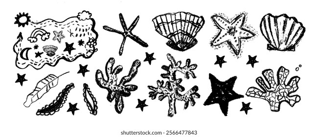 Seaweed and coral vector illustrations - marine life clipart collection 