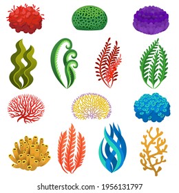 Seaweed and corals. Cartoon underwater reef plants and animals. Aquarium, ocean and sea flora, marine floral elements vector set. Anemones and algae planting seascape, aquatic icons