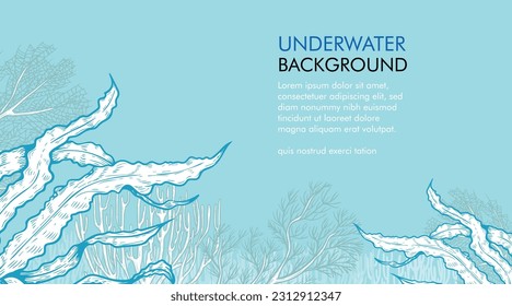 Seaweed and corals design template. Hand drawn sketch style underwater illustration. Engraved style monochrome marine banner. Retro sea plants background.