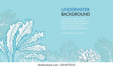 Seaweed and corals design template. Hand drawn sketch style underwater illustration. Engraved style monochrome marine banner. Retro sea plants background.