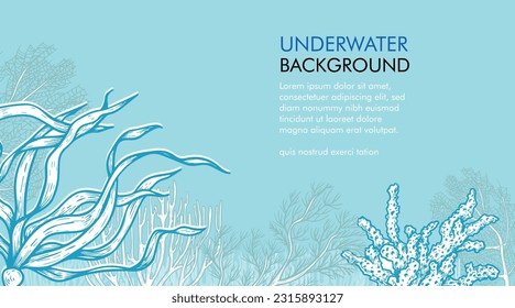 Seaweed and corals design template. Hand drawn sketch style underwater illustration. Engraved style monochrome marine banner. Retro sea plants background.