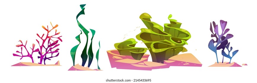 Seaweed and corals, tropical sea plants and reef animals. Vector cartoon set of ocean underwater fauna and algae. Marine flora and corals isolated on white background