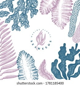 Seaweed design template. Hand drawn vector seaweeds illustration. Engraved style sea food banner. Retro sea plants background