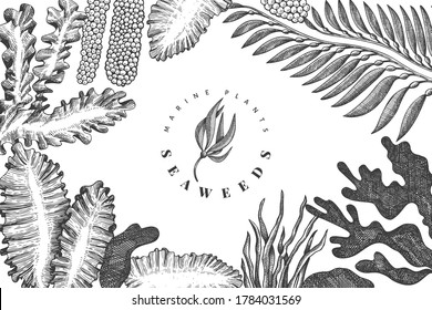 Seaweed design template. Hand drawn vector seaweeds illustration. Engraved style sea food banner. Retro sea plants background