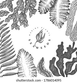 Seaweed design template. Hand drawn vector seaweeds illustration. Engraved style sea food banner. Retro sea plants background