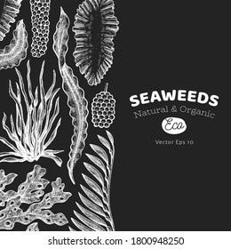 Plantilla de diseño de algas marinas. Ilustración de algas marinas vectoriales dibujadas a mano en pizarra de tiza. Cartel de comida marina grabado. Fondo de plantas marinas de época