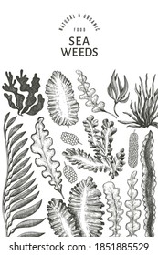 Seaweed design template. Hand drawn vector seaweeds illustration. Engraved style sea food banner. Retro sea plants background