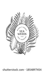 Seaweed design template. Hand drawn vector seaweeds illustration. Engraved style sea food banner. Retro sea plants background