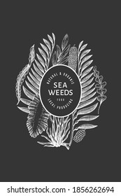 Plantilla de diseño de algas marinas. Ilustración de algas marinas vectoriales dibujadas a mano en pizarra de tiza. Cartel de comida marina grabado. Fondo de plantas marinas de época