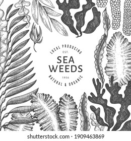 Seaweed design template. Hand drawn vector seaweeds illustration. Engraved style sea food banner. Retro sea plants background