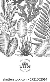 Plantilla de diseño de algas marinas. Ilustración de algas marinas vectoriales dibujadas a mano. Cartel de comida marina grabado. Fondo de plantas de mar retro
