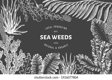 Seaweed design template. Hand drawn vector seaweeds illustration on chalk board. Retro style sea food banner. Vintage sea plants background