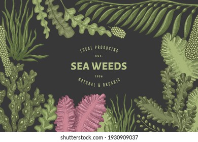 Seaweed design template. Hand drawn vector seaweeds illustration. Engraved style sea food banner. Retro sea plants background