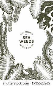 Seaweed design template. Hand drawn vector seaweeds illustration. Engraved style sea food banner. Retro sea plants background